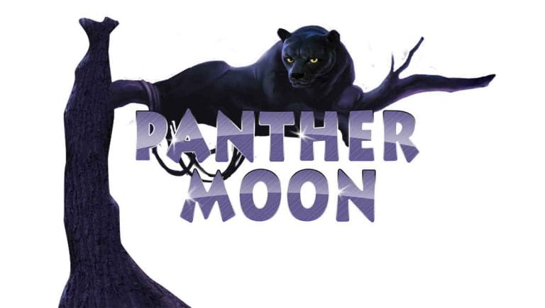 Petualangan Malam Seru Bersama Panther Moon