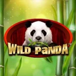 Wild Panda Spadegaming, Petualangan Seru di Layar Kamu!