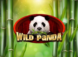 Wild Panda Spadegaming, Petualangan Seru di Layar Kamu!